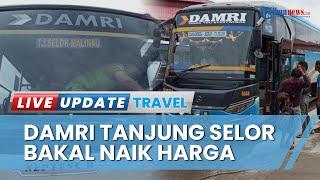 Harga Tiket Damri Tanjung Selor Bakal Naik secara Bertahap Jelang Lebaran, Mulai 10-40 Persen