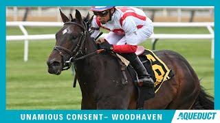 Unanimous Consent - 2022 - The Woodhaven