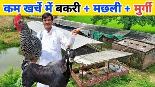 बकरी पालन के साथ मुर्गी और मछली पालन | Integrated goat fish and chicken farming