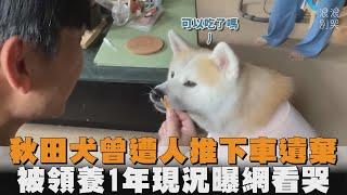 秋田犬曾遭人推下車遺棄　被領養1年現況曝網看哭