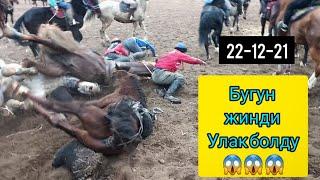 Бугун жинди улак болду  22-12-21.