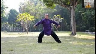 8-1. Master Juan Chen Demonstration Chen Style Tai Chi at 2021 Taiji Science Forum