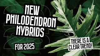 NEW PHILODENDRON HYBRIDS FOR 2025!!