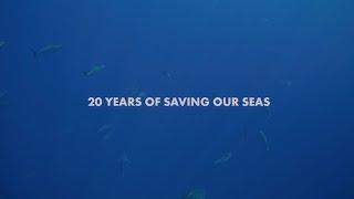 20 YEARS OF SAVING OUR SEAS