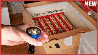 Инкубация цыплят продолжается.Проветривание Инкубатора , Овоскопирование яиц.Как сделать Овоскоп.