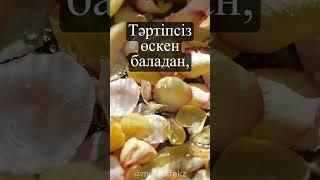 ҒИБРАТТЫ СӨЗДЕР, Әсерлі сөздер. қанатты сөздер. нақыл сөздер. ұлағатты сөздер. мотивация сөз #мақал