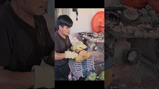 Amazing! Cambodian Fruit Cutting Skills