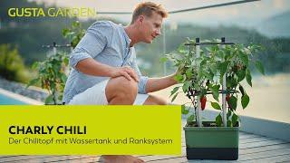 Mit CHARLY CHILI eigene Chilis auf Balkon, Terrasse oder im Garten anbauen [Urban Gardening]