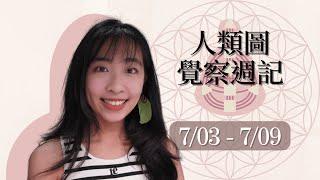 人類圖覺察週記｜7/03-7/09｜Yoko Tarot