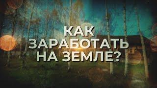 Как заработать на земле? Идеи для Бизнеса