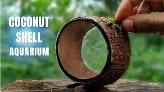 Simple Craft Making With Coconut Shell || How To Make An AQUARIUM with Coconut Shell  |Mr Techoo