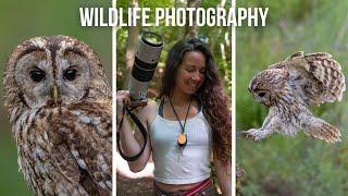 Birds of Prey Photography | Scottish Photography Hides | Fujifilm X-T5, X-H2S & 150-600mm