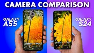 Samsung Galaxy A55 vs Galaxy S24 - CAMERA COMPARISON