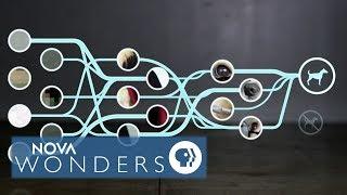 AI Explained: What Is A Neural Net?