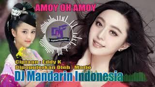 DJ Remix Amoy Oh Amoy Mandarin Indonesia 2022 ( Official Music )