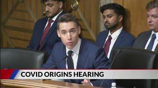 Senate hearing on COVID-19 origins gets heated