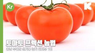클라스만 데일만 토양 교체 사업, 프렉션 농법 소개