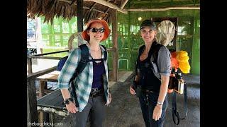 Morpho Institute & The Bug Chicks: Amazon Arthropods & SEL