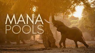 What makes MANA POOLS so special?