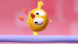 Chicky the gymnast | Where's Chicky? | Cartoon Collection in English for Kids | New episodes HD