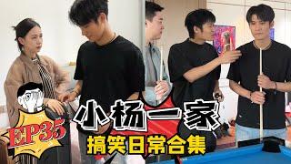 【小杨一家搞笑日常合集】老弟的绝望周末EP35 蓝光版 #疯狂小杨哥 #搞笑日常 #搞笑段子