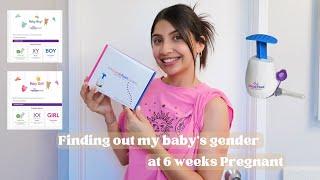 Sneak Peek Gender Early DNA Test At 6 Weeks Pregnant | Step By Step + Gender Results