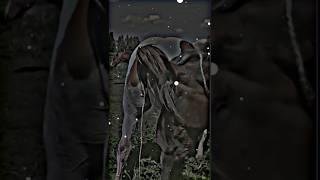 #farim #pferd #bauernhof #cowboy #trendingshorts