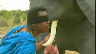Drama "Six Men and an Elephant" - Children's Story Drama