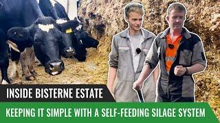 Inside Bisterne Estate: Keeping it Simple with a Self-Feeding Silage System