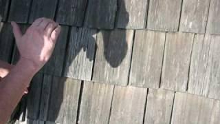 Cedar Roof Maintenance - Roof Life of Oregon