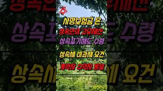 상속포기와 사망보험금, 사망보험금 비과세 요건, 계약자 수익자 동일하게