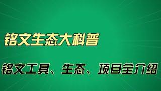 生态科普 |  铭文生态大科普，最近大热的铭文工具、生态、项目全介绍 #bitcoin #铭文 #eth