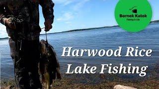 Ontario's Rice Lake  (Fishing for Bass, Perch, Sunfish)