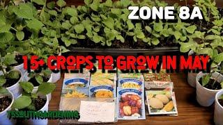 15+ Crops to Grow in May
