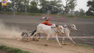 First PrizeWinner Pind RurkiOx Race-Best Time19:37/Date07/06/2023 #oxraces #bailgadi #punjab