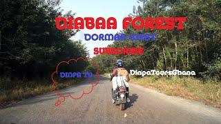 An HD Ride In The Diabaa Forest Of Dormaa Kingdom - Dinpa TV