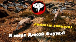 ANIMALIA SURVIVAL . СТРИМ. МИР ДИКОЙ ФАУНЫ.