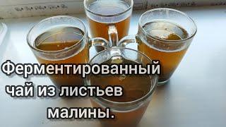 Как сделать ферментированный чай. Из листьев малины.