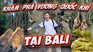 Kinh nghiệm du lịch đảo Bali, khám phá vương quốc khỉ tại Bali , du lịch tự túc Bali