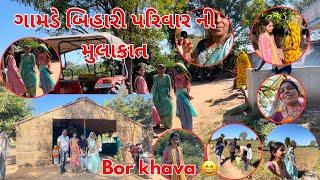 Gamde Bihar thi Aavela Bihari Parivar na ghar | બોર ની મોજ | Family Real Vlogs thakor