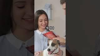 우리 강아지 쉬야할 때 낑낑? 방광염/요로 감염 의심 증상과 예방법!#강아지방광염 #강아지요로감염 #강아지오줌 #강아지건강 #댕댕이건강 #강아지질병 #반려견건강 #강아지정보