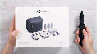 ITS SO TINY - 4K & OCUSYNC 2.0 - DJI MINI 2 - FIRST IMPRESSION