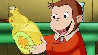 Curious George  Maple Monkey Madness  Kids Cartoon  Kids Movies  Videos For Kids