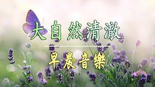 早晨音樂   大自然清澈,美妙的音樂 - 每天調心洗滌心性-美妙的音樂 - 純鋼琴輕音樂 - 轻松的钢琴音乐