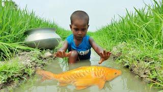 Wow!!Little boy hunting big fish by hand~ Traditional hand fishing in mud water~(Part~07)