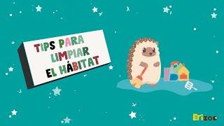 Tips para limpiar el hábitat de mi erizo | Erizoo México