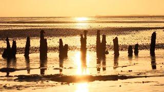 WADDENSEA | An observation of the tides