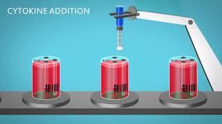 Future of T Cell Manufacturing using G-Rex Closed-system Bioreactors