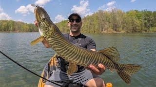 The Fish of 10k Casts on the 1st Cast!!! (Surprise TIGER MUSKIE While Bass Fishing)