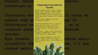 Укроп #здоровыйобразжизни #красотаздоровье #полезныесоветы #shortsvideo